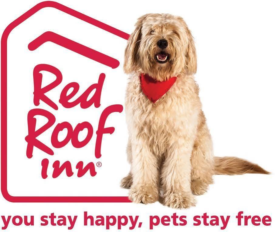 Red Roof Inn Cleveland - Mentor/ Willoughby Exterior photo